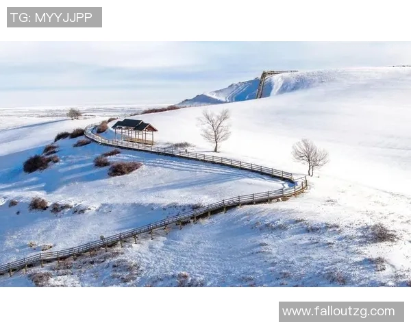 冰雪赛事雪道维护的重要性与技术创新探讨