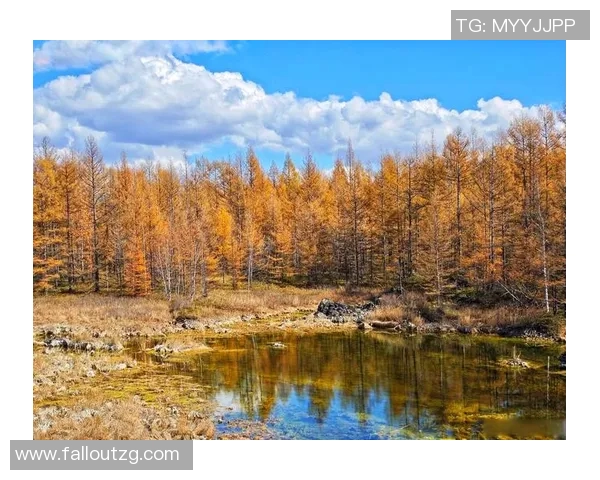 VCTWOLYosemite探秘之旅：畅游自然与科技交融的绝美风景
