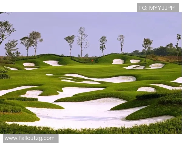 高尔夫球俱乐部管理实用指南